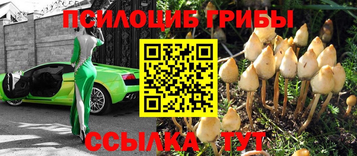 Астрахань  Галлюциногенные грибы Psilocybine cubensis  закладка  Вход с VPN 