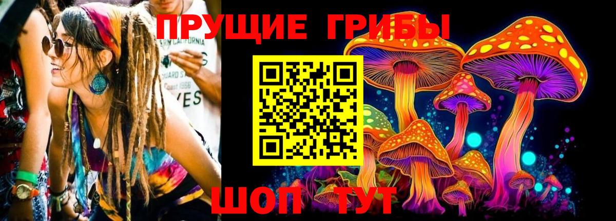 Галлюциногенные грибы GOLDEN TEACHER Астрахань